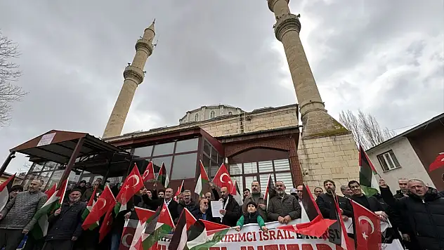 Ardahan'da Filistin protestosu