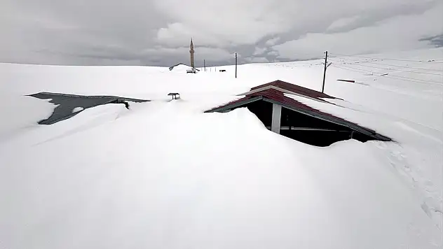 Ardahan'da yayla evleri kar altında kaldı