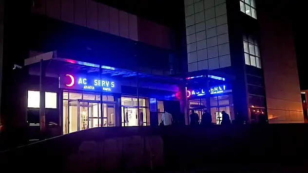 Armut toplamak için ağaca çıktı, hayatını kaybetti