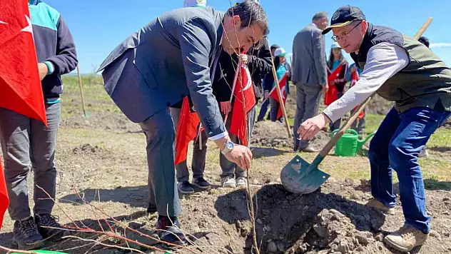 Arpaçay'da Meyve Fidanları Toprakla Buluştu, Geleceğe Yeşil Bir Adım