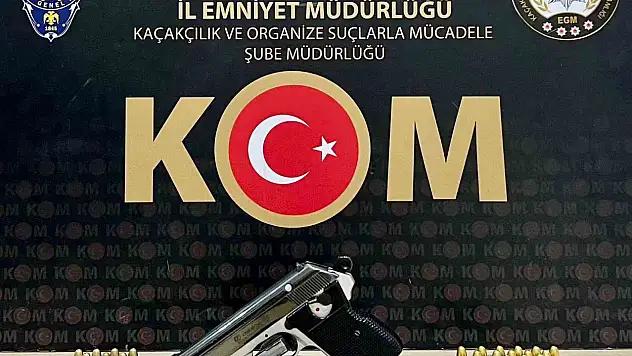Arpaçay'da Polis Operasyonu: 12 Gözaltı, Çok Sayıda Silah Ele Geçirildi