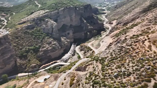 Artvin'de Dron Kamerasında İlginç Anlar: Akbaba Görüntülendi!