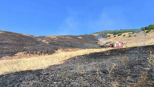 Aşkale'de anız yangını 100 dönüm alanı hedef aldı, köylüler ve itfaiye ekipleri müdahale etti