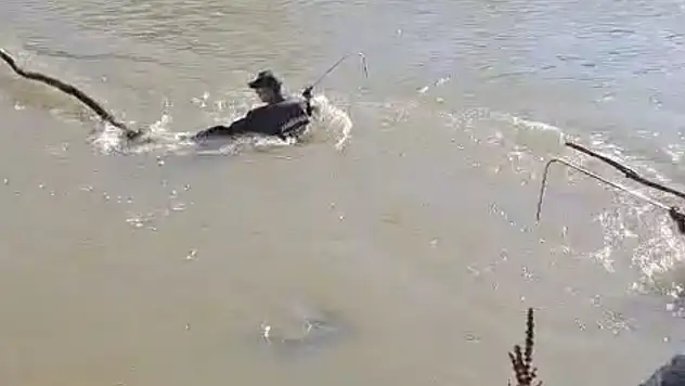 Aşkale'de trafik kazası: Araç Karasu Nehri'ne uçtu, bir kayıp, bir ölü ve yaralı var!