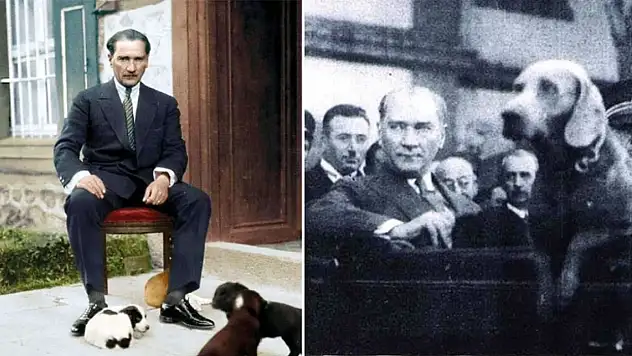 Atatürk'ün Beslediği İlk Evcil Hayvanın İsmi Nedir?