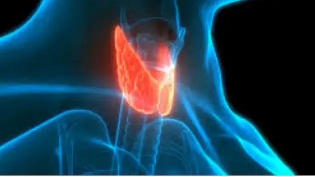 Atom Tedavisi Nedir?