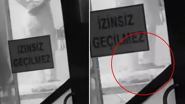 Ayaklarıyla Hamur Yoğuran İşletme Nerde, Kapandı mı?
