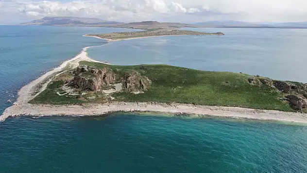 Baharın Güzelliği: Van Gölü'nde Badem Ağaçları Çiçek Açtı!