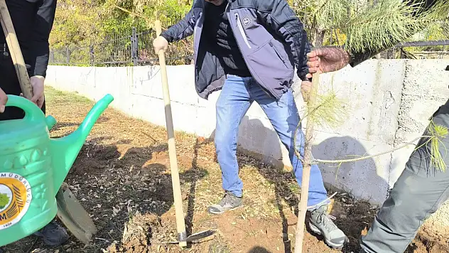 Bahçesaray'da 11 Kasım Milli Ağaçlandırma Günü'nde Fidanlar Toprakla Buluştu