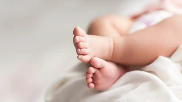 Bakan Göktaş açıkladı: Doğum izni için yeni süre belirlendi