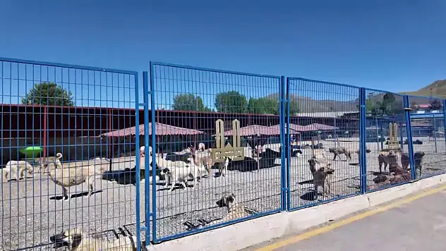 Bakan Mustafa Çiftçi'nin Erzurum modeli Türkiye'ye örnek oldu