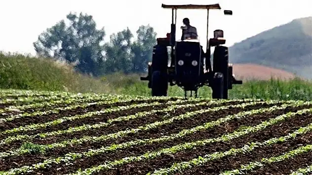 Bakanlık duyurdu: 94,3 milyon lira çiftçiye aktarılıyor