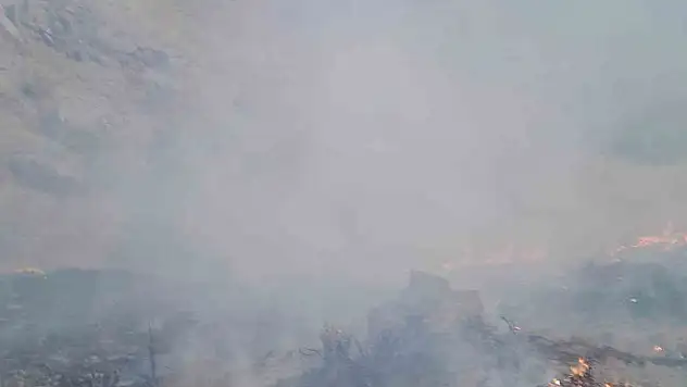 Başkale'de Anız Yangını İtfaiye Ekiplerince Kısa Sürede Söndürüldü