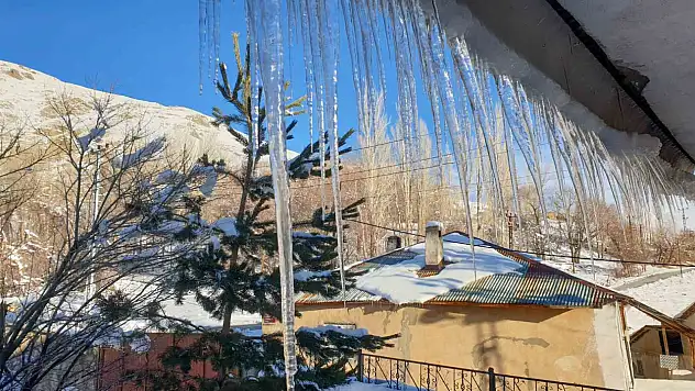 Başkale'de dondurucu soğuklar ağaçları, araçları ve çatılara buz sarkıtları oluşturdu