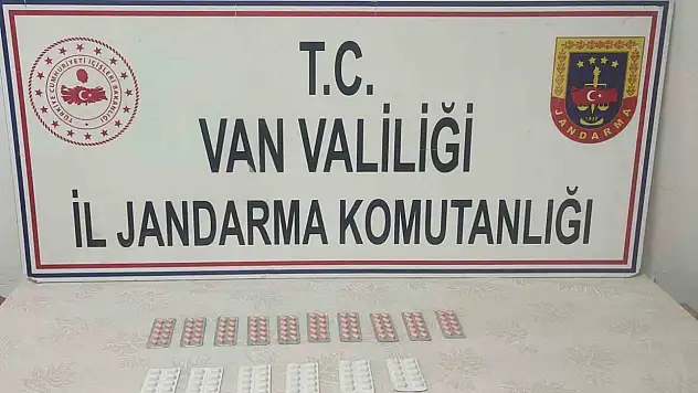 Başkale'de jandarma 160 sentetik uyuşturucu hap ele geçirdi, İran uyruklu şahıs tutuklandı