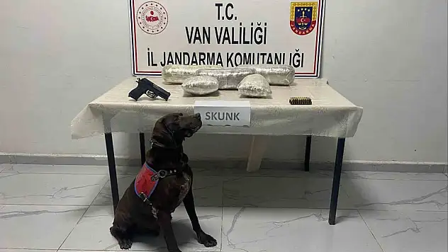 Başkale'de Jandarma 4 Kilo Skunk ve Kaçak Malzeme Ele Geçirdi
