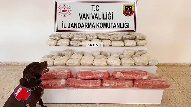 Başkale'de Jandarma Operasyonu: 61,9 Kilogram Skunk Ele Geçirildi