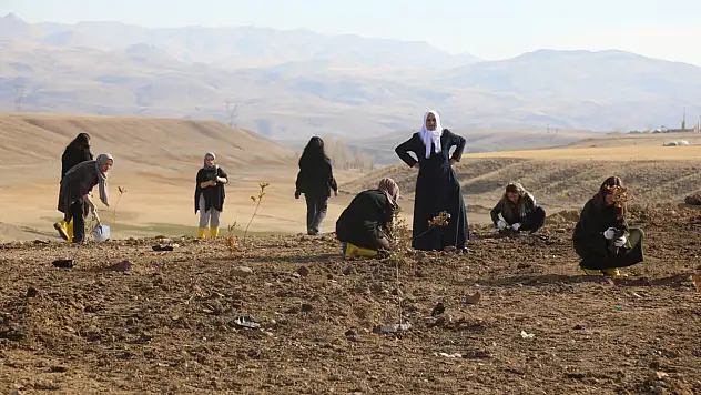 Başkale'de Kadına Şiddete Karşı Anlamlı Fidan Dikimi Etkinliği