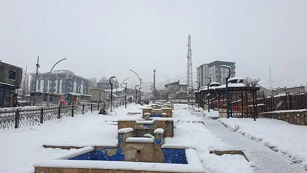 Başkale'de kar yağışı etkili: 50 cm'ye kadar ulaştı, yollar açıldı