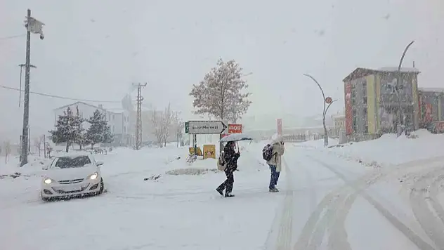 Başkalede kar esareti: 6 mahallenin yolu kapandı