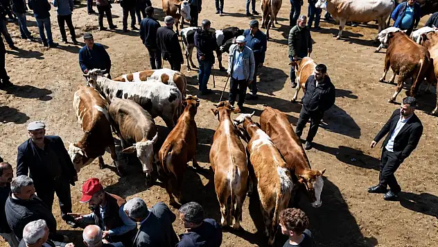 Batı illerinin kurbanlık rotası yine Ağrı oldu