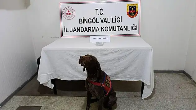 Bingöl'de uyuşturucuyla mücadele: 2 gözaltı