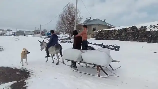 Bitlis'in Sütey Yaylası'nda zorlu kış başladı