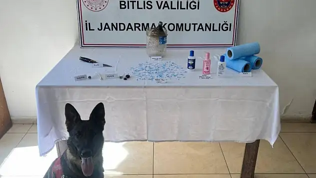 Bitlis kırsalında gerçekleştirilen operasyonda jandarma ekipleri uyuşturucu tacirlerine darbe vurdu