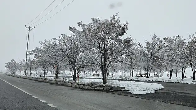 Bitlis'te ağaçlar kırağıyla kaplandı