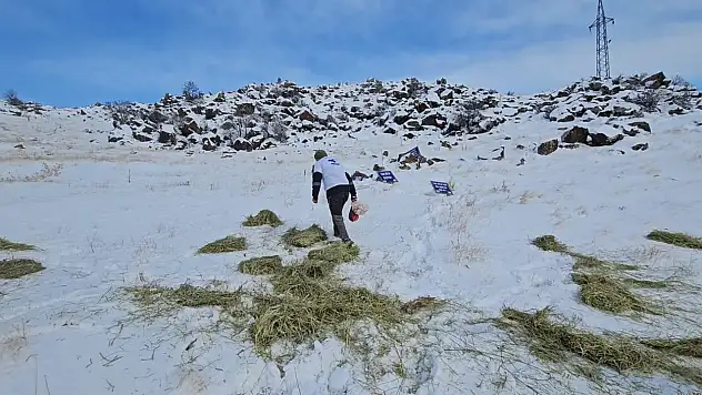 Bitlis'te doğa dostlarından yaban hayatına destek