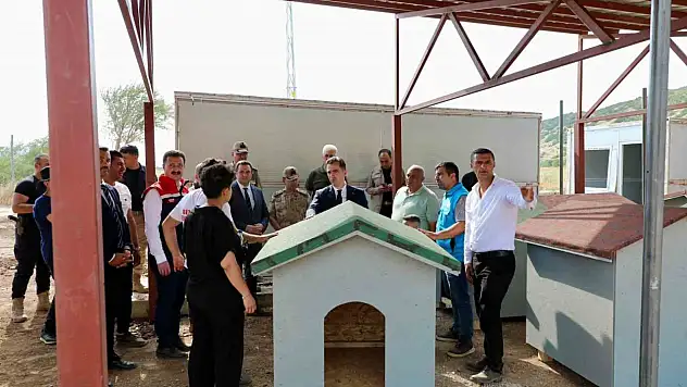 Bitlis'te Hayvan Barınağı ve Doğal Yaşam Alanları Projeleri Geliştiriliyor