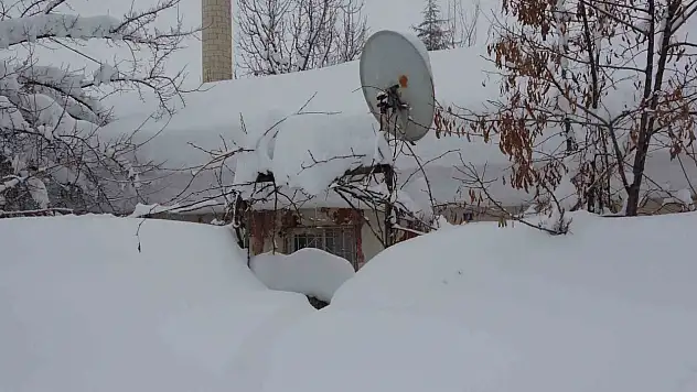 Bitlis'te kar alarmı: Evler kayboldu, yollar kapandı