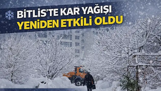 Bitlis'te kar yağışı 111 köy yolunu kapattı, ulaşımda aksamalar yaşanıyor