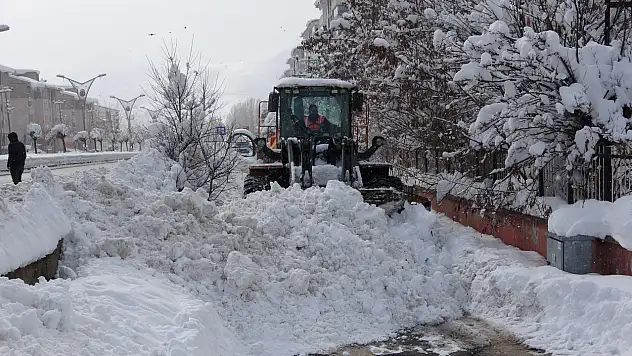 Bitlis'te karla mücadele devam ediyor