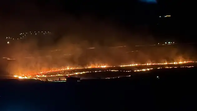 Bitlis'te korkutan yangın 300 dönümlük alan küle döndü