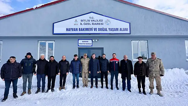 Bitlis'te Sokak Hayvanları İçin Kış Tedbirleri Yerinde İncelendi