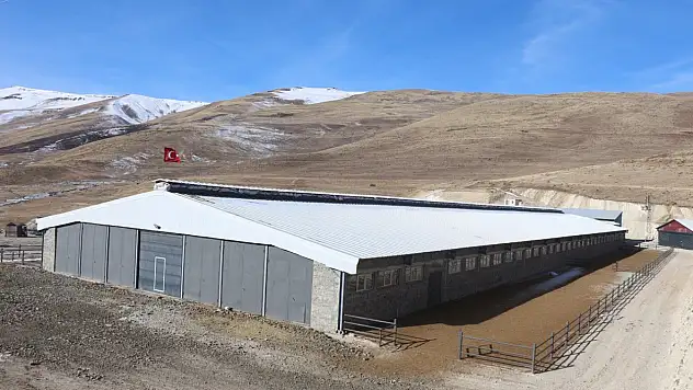 Bitlis'te Tarım ve Kırsal Kalkınma Yatırımlarına Büyük Destek