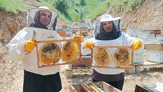 Bitlisli yenge ve görümce arıcılıkta başarı hikâyesi yazıyor