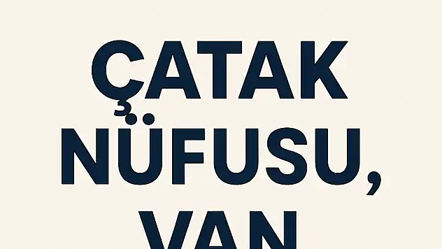 Çatak İlçesi Nüfusu Van ve Mahalle Bazlı Demografik Yapı