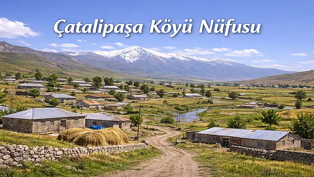 Çatalipaşa Köyü Ağrı Merkez Elî Paşa