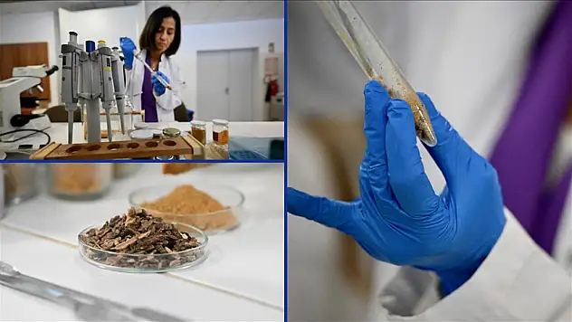 Çocuklara propolis verilir mi?