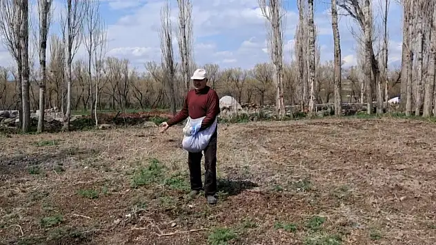 Demirkent'te 65 yaşındaki Yaşar Kılıç, tohum serpme geleneğiyle tarımda verimliliği artırıyor.