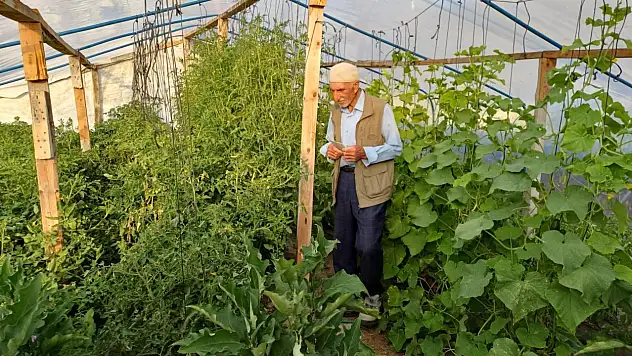 Diyadin'de 70  yaşındaki Abdullah Pelit toprağa hayat veriyor
