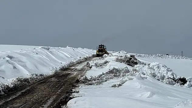 Diyadin'de baharın gelmesi ile birlikte karlı arazide projeler değerlendirildi