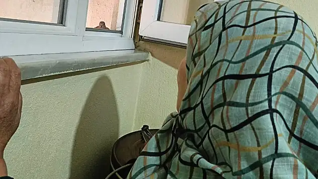 Diyadin'de mutfak penceresinde başlayan dostluk: Kumrular ailenin bir parçası oldu