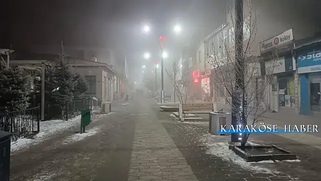 Diyadin'de sis etkisini gösterdi