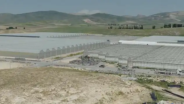 Diyadin Jeotermal Sera OSB'de üretim için geri sayım başladı