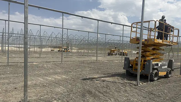 Diyadin jeotermal sera yatırımları büyüyor