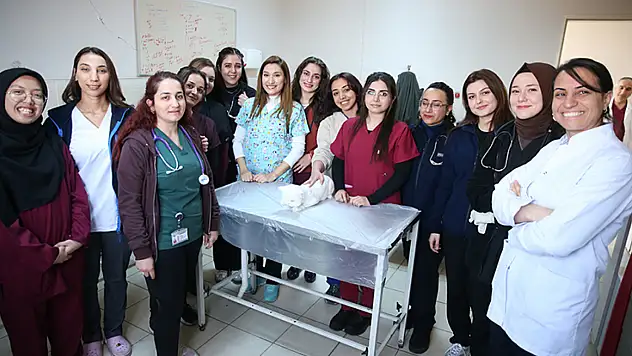 Diyarbakır'da hayvanların sağlığı kadın veteriner hekimlere emanet