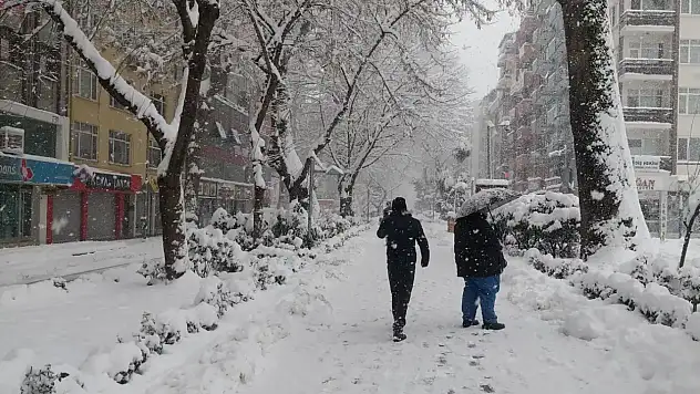 Doğu Anadolu'nun kuzeyinde kar yağışlarına dikkat